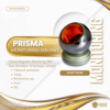 40 Prisma Monitoring Magnetic 360° Prisma Target Magnetic